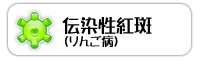伝染性紅斑(りんご病)